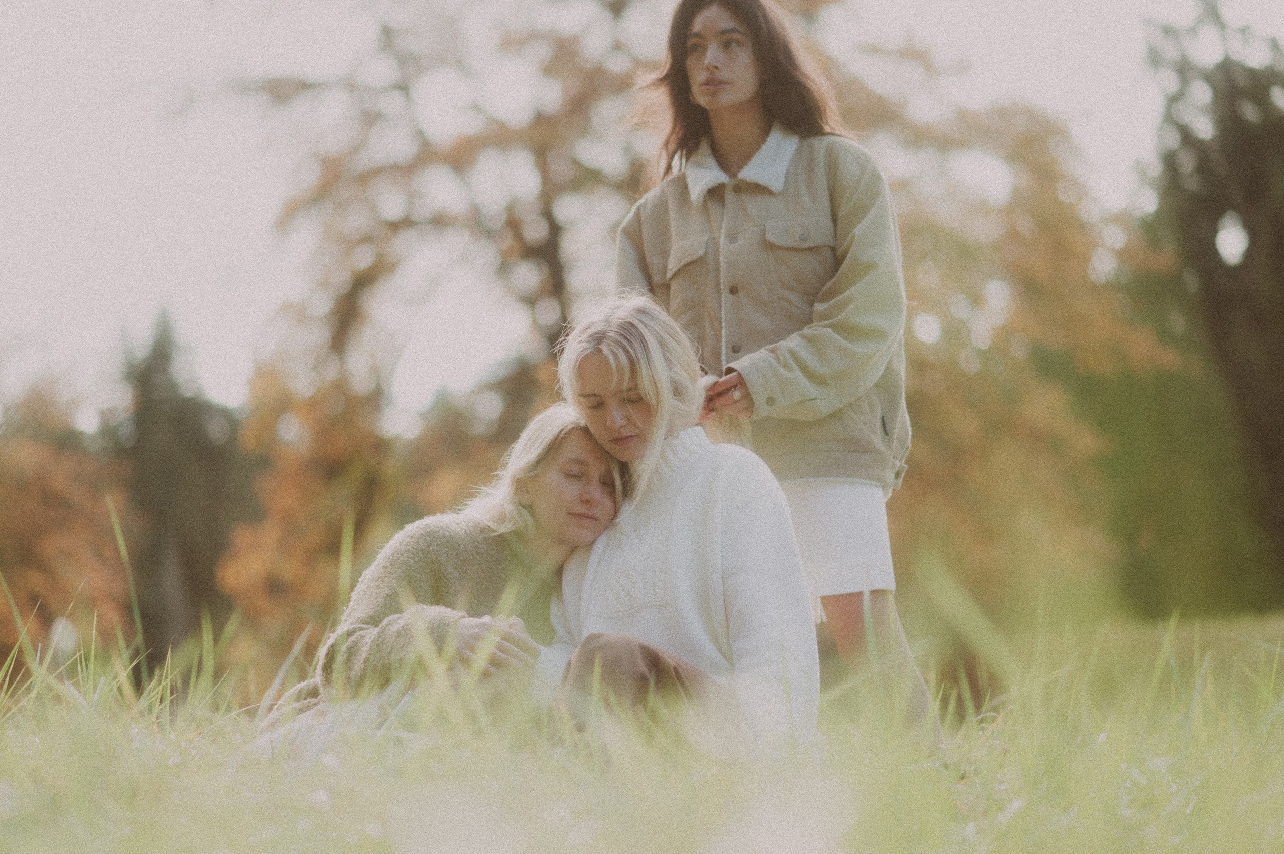 Three friends in a meadow