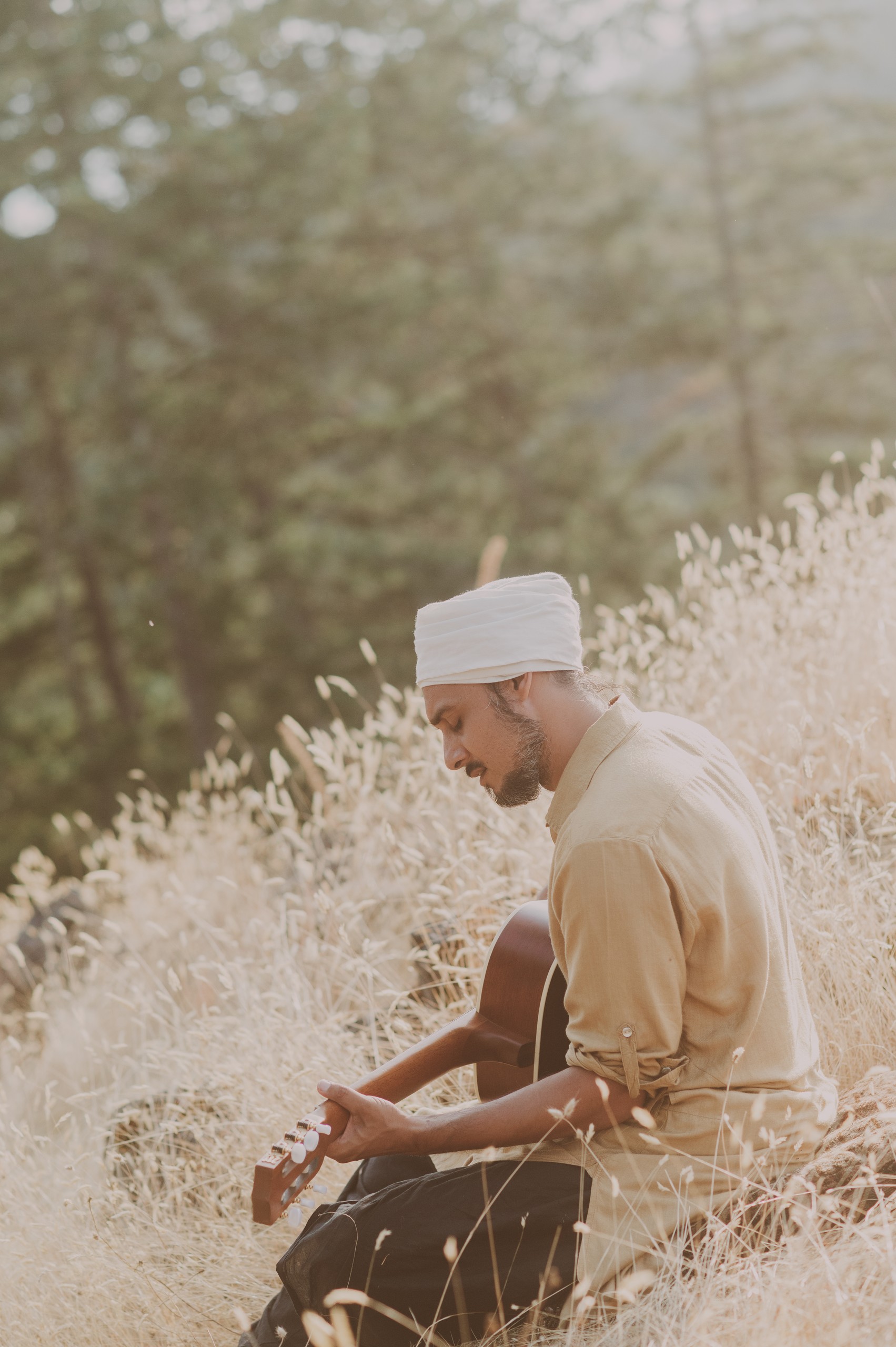 Musician in the meadow